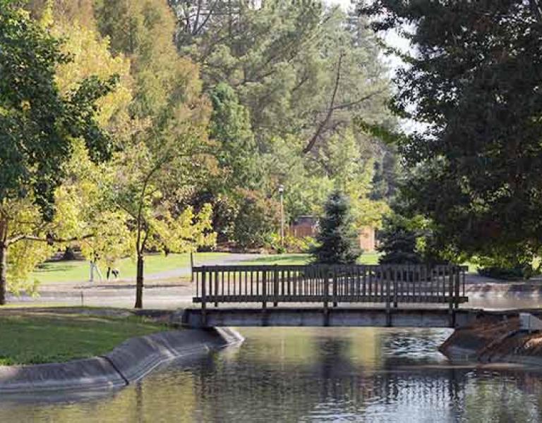Bridge over pond