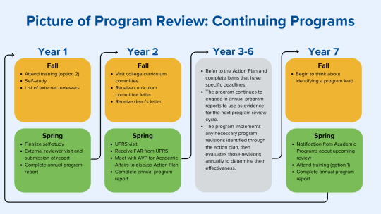 Infographic of program review steps.